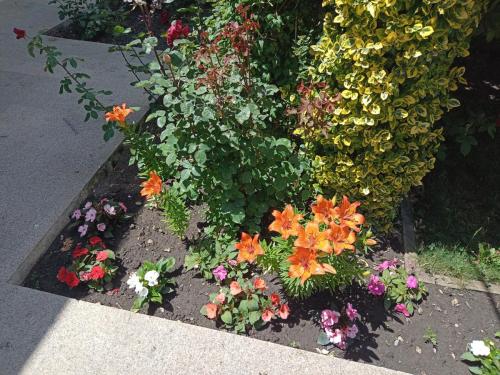 IMG 20240526 124453441