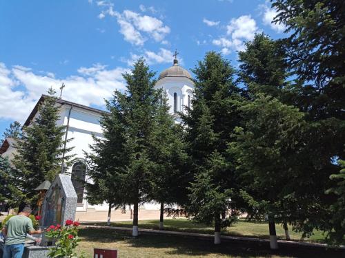 IMG 20240526 124511443